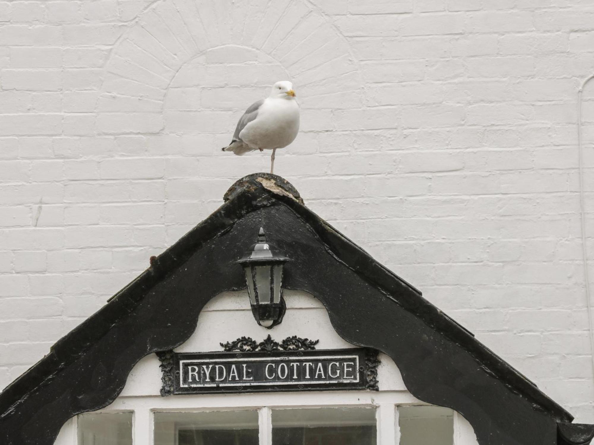Rydal